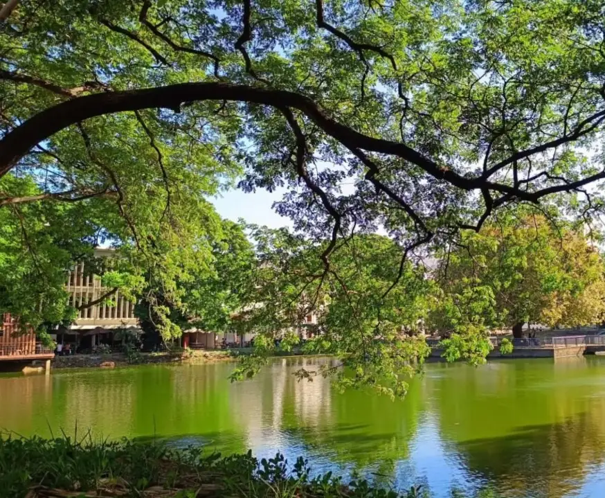 A lake framed by old trees on the RUPP campus